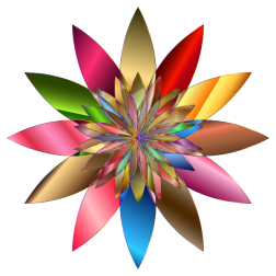 Chromatic Flower 2 No Background