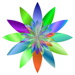 Chromatic Flower 3 No Background