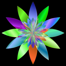 Chromatic Flower 3