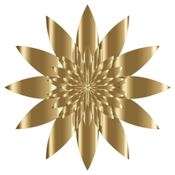 Chromatic flower-1630441224