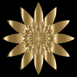 Chromatic Flower 5