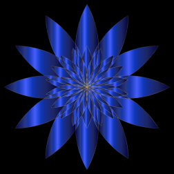 Chromatic Flower 6