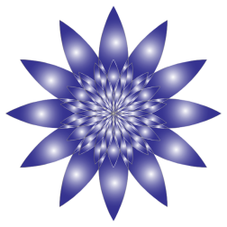 Chromatic Flower 8 No Background