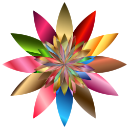 Chromatic flower-1630592600