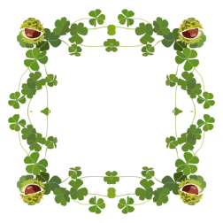 Clover Frame