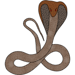 Cobra 2