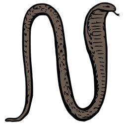 Cobra 1