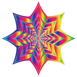 Colorful Flower Silhouette 13