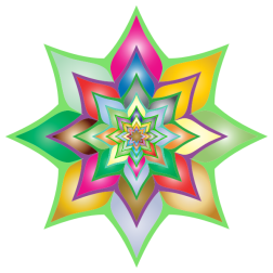 Colorful Flower Silhouette 2