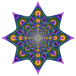 Colorful Flower Silhouette 5 Variation 4