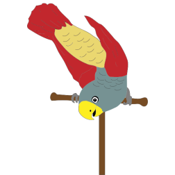 Colorful parrot-1624658075