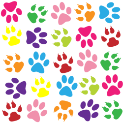 Colorful Paw Prints Pattern Background