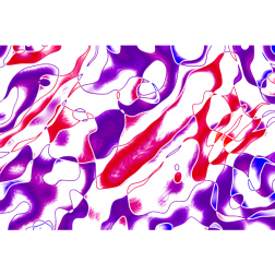 ColourfulBackground5Colour6