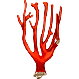 Coral2