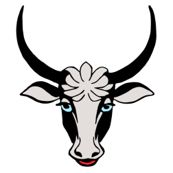 Cow III