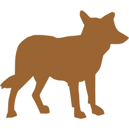 CoyoteNJ