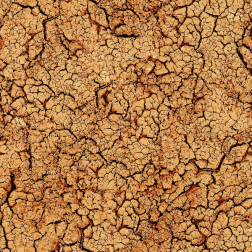 CrackedMud3