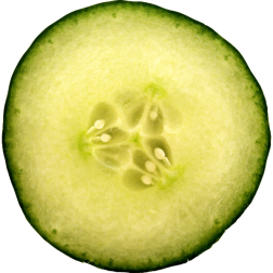 CutCucumber