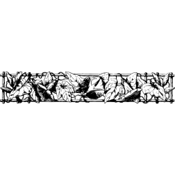 DecorativeDivider156