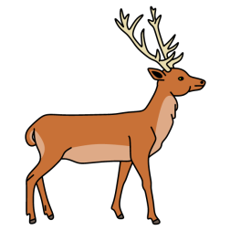 Deer 33