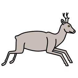 Deer 35