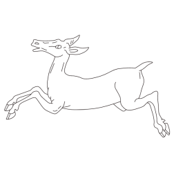 Deer 45