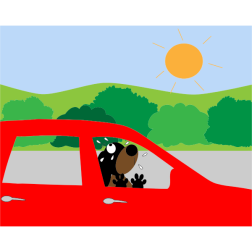 Dog Trapped In Swealtering Car