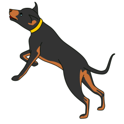 Dog IV