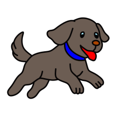 Dog V