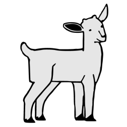 Domestic goat 2