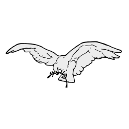 Dove with olive branch 1