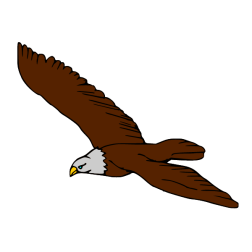 Eagle I