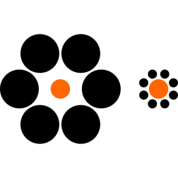EbbinghausIllusion