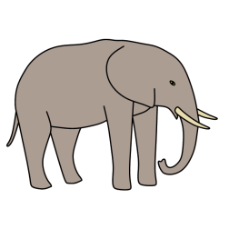 Elephant VI
