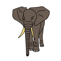 Elephant V