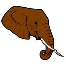 Elephant XII