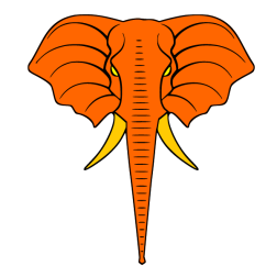 Elephant XI