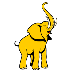 Elephant XVII
