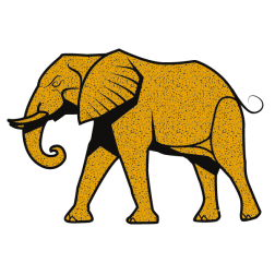 Elephant XVI