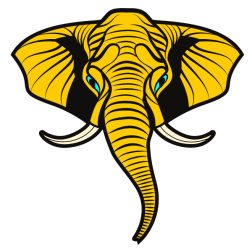 Elephant X