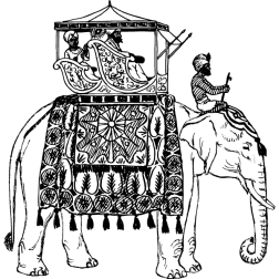 Elephant XXVIII