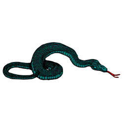 Evil old snake 2