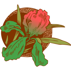 FloralDesign76Colour