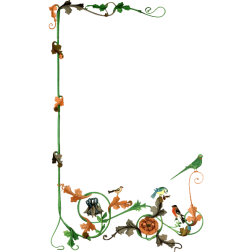 FloralFrame16
