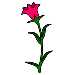 Flower 135