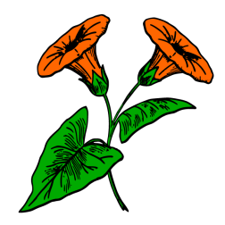 Flower 136