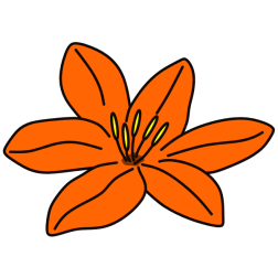 Flower 141