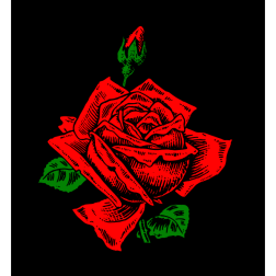Flower 142