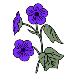 Flower 146