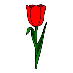 Flower 149